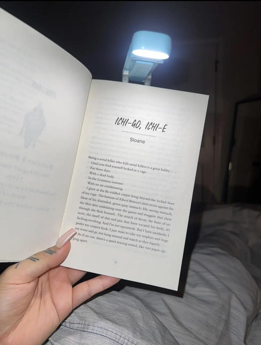 Boklampen – 3 ulike lysmoduser – 1 års garanti